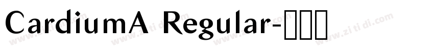 CardiumA Regular字体转换